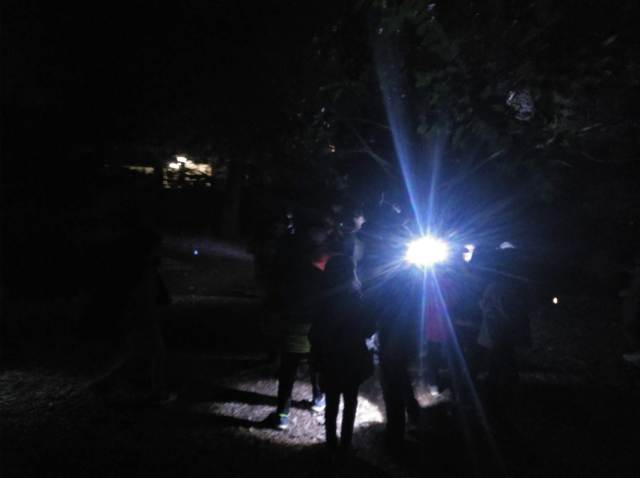 IMG_20190508_220741_159