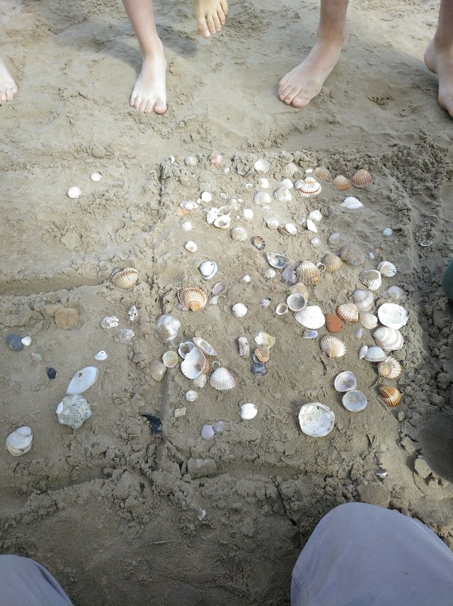 IMG_20190515_170048_265