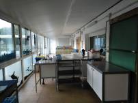 IMG_20190329_190204_984