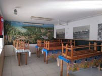 IMG_20190623_194207_164 (1)